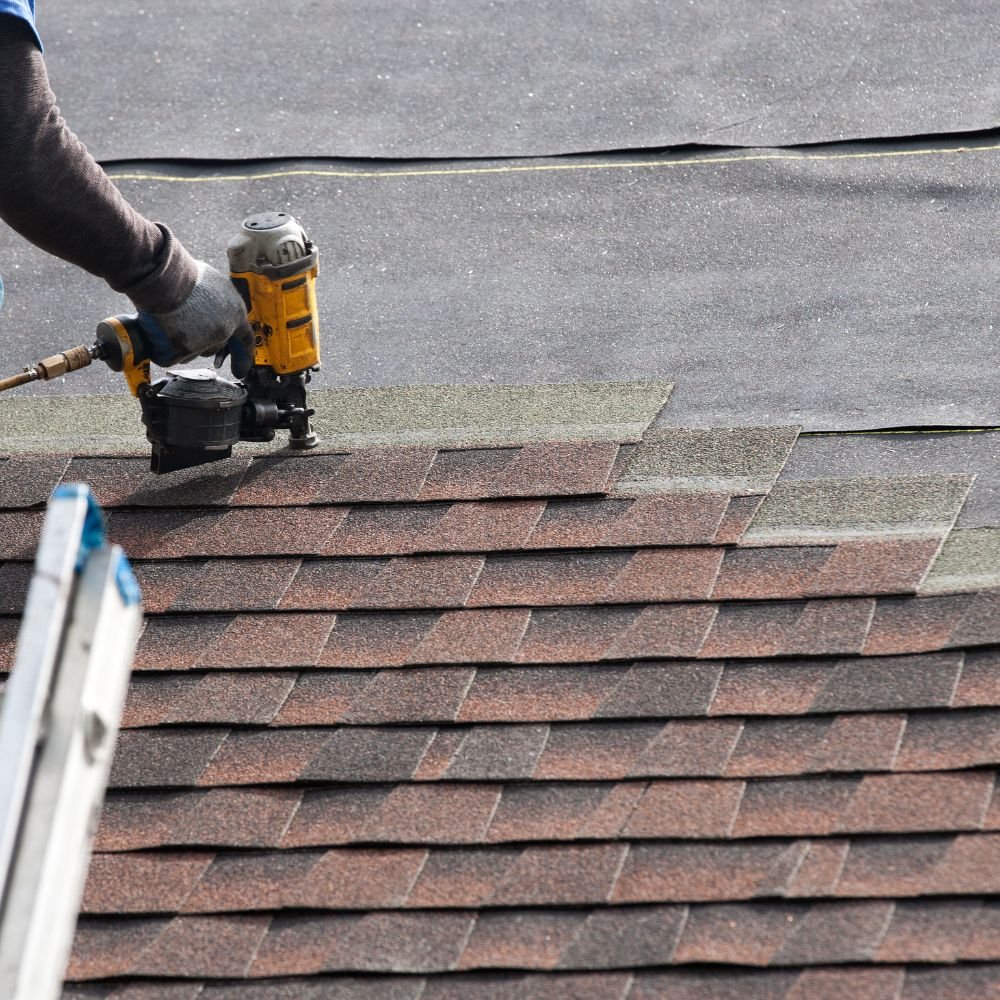 Roof Cleaning & Maintenance 3 11
