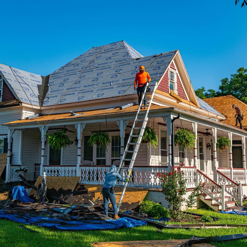 Roof Cleaning & Maintenance 5 7