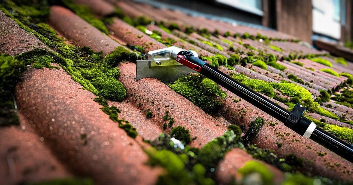 Roof Maintenance Services in Reading