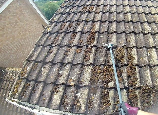 Roof Cleaning Reading